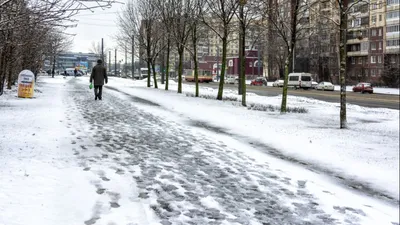 Весна В Национальном Парке Средней Полосы России — стоковые фотографии и  другие картинки Без людей - Без людей, Весна, Вода - iStock