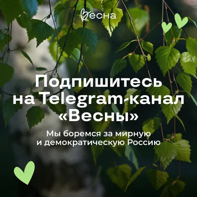 Весна в России✨🌸 цветение | Весна, Россия