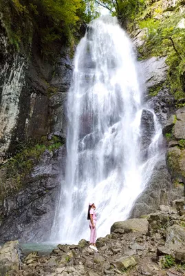 Фотообои Каскадный водопад в лесу №5778 купить в интернет-магазине ABC-Decor
