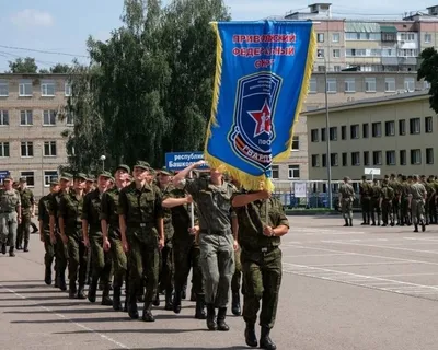 Военно-патриотические сборы «Кубок «Авангарда» проходят в Ярославской  области | Первый ярославский телеканал