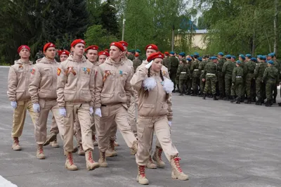 Военно-патриотический диктант» пройдет во всех регионах России — Округ ТВ