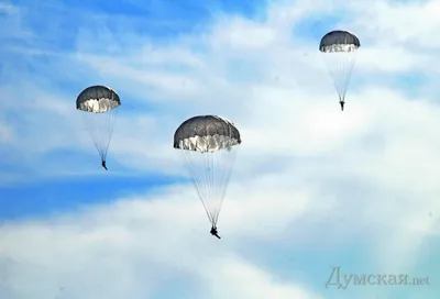 Военные парашютисты на чемпионате мира в Подмосковье совершили свыше 5 тыс.  прыжков | Jets.ru