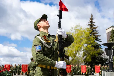 Пока воин в поле: как жулики наживаются на родственниках военных | Статьи |  Известия