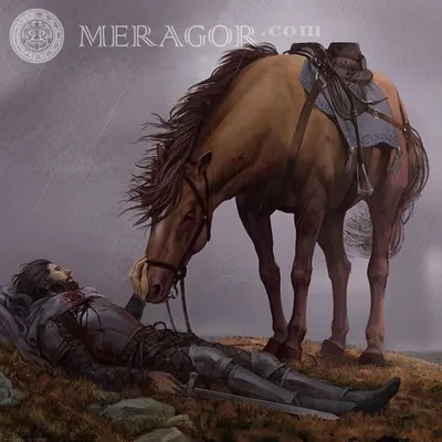 MERAGOR | Конь и умирающий воин картинка на аву