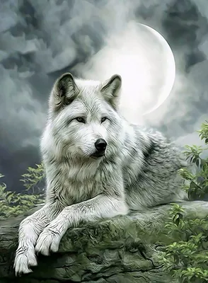 Черный волк с зелеными глазами - 70 фото
