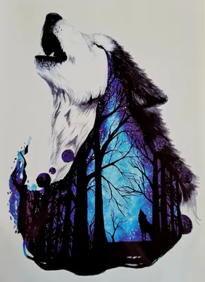 Картинки одинокий волк - 77 фото