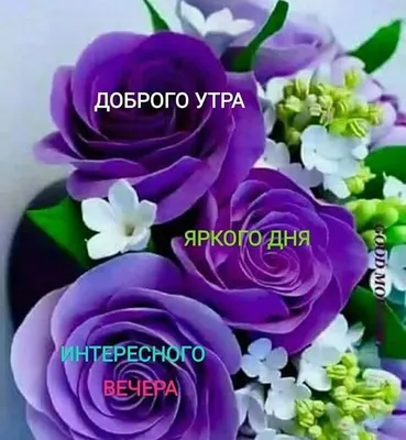 Всего самого доброго | Emoji pictures, Good morning images, Beautiful  morning