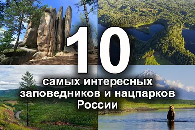 7 невероятных заповедников России, которые стоит увидеть - Лайфхакер