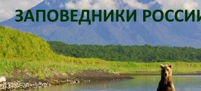 Заповедники России: 5 мест, куда можно попасть туристу | Эрудит.Онлайн |  Дзен