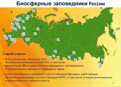 Заповедники России - национальная гордость