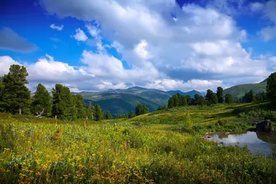 15 самых красивых национальных парков и заповедников России