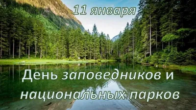 Топ-7 крупнейших заповедников и национальных парков мира и России