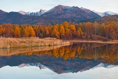 File:Oka nature reserve.jpg - Wikipedia