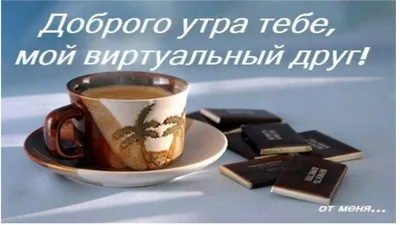 С добрым утром, люди, с бодрым утром! Как сказал какой-то очень мудрый, В  новый день вносите.. | ВКонтакте