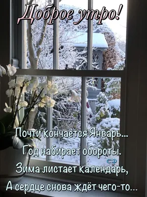 ℒℴνℯ☕ Здравствуйте, Друзья,Доброе утро...☕ ღܓ‿ ~ Открытка (плейкаст)