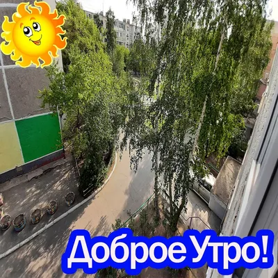 Доброе утро, Здравствуйте! | Instagram