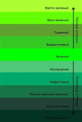 Все оттенки зелёного 🐸 | ВКонтакте