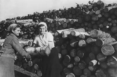 Женщины герои Советского Союза: ТОП 10 подвигов во время Великой  Отечественной войны - YouTube