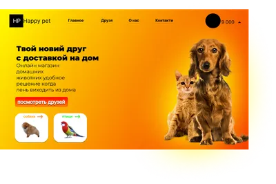 Прозрачный рюкзак переноска для животних: кота, кошки, собаки, кролика  рюкзак с иллюминатором черный — цена 1035 грн в каталоге Переноски ✓ Купить  товары для дома и быта по доступной цене на Шафе | Украина #113296088