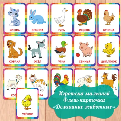 Карточки с животными для детей | Animal flashcards, Animal pictures for  kids, Printable animal pictures