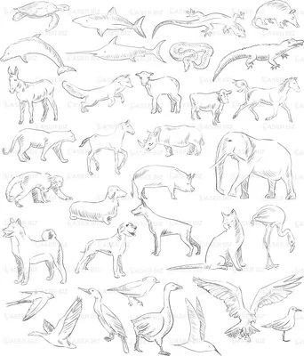 Дикие животные нарисованные рукой Иллюстрация вектора - иллюстрации  насчитывающей счастливо, слон: 82375024
