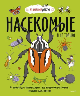 изображение двух жуков насекомых стоящих на бревне, большой жук олень и  маленький жук олень собираются на ветке дерева, Hd фотография фото,  насекомое фон картинки и Фото для бесплатной загрузки