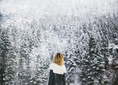 Красивая снежная метель девушка стоит спиной посреди дороги в густом  сосновом лесу красивая дорога | Премиум Фото