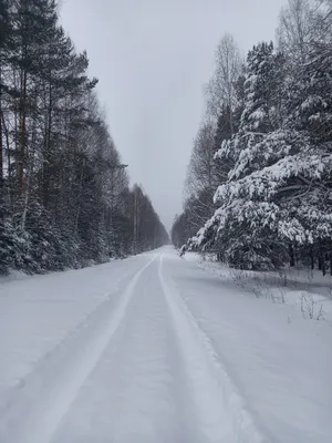 Рисунок снегопад - 37 фото