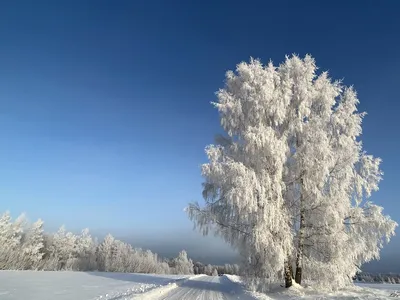 Тема «Der Winter» (Зима) » Немецкий язык: от А до Я | Deutsch: von A bis Z  - Новый подход к обучению немецкому как иностранному: индивидуальные  занятия (по Skype) + участие в