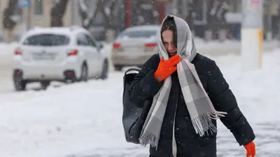 Лес, зима, снег. | Пейзажи, Живописные пейзажи, Зимние сцены