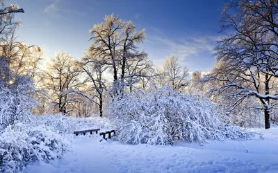 Зима в лесу рисунок - 75 фото