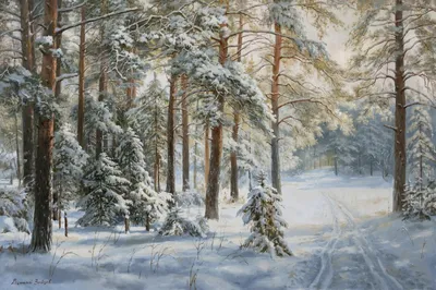 Зима в лесу — Фото №1429044