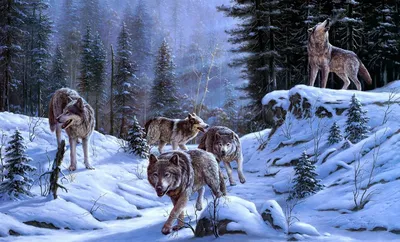 Картина на бересте «Зима в лесу» 24х24 см: купить за 1 150 ₽ в  интернет-магазине Lukoshko70.ru