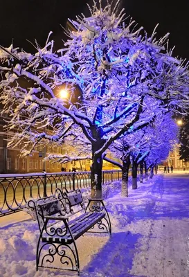 Зимний вечер в сказочном городе | Удачный кадр | Дзен