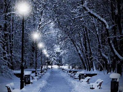 Зимний вечер в городе :: Наиля – Социальная сеть ФотоКто