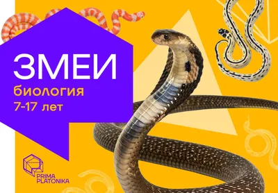 Жителей Башкирии просят не волноваться по поводу змей