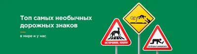 Цвета и форма дорожных знаков - читайте на сайте Автошкола 177