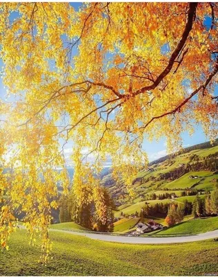 Доброе утро, осень золотая, лес, …» — создано в Шедевруме