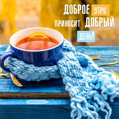 КРАСИВЫЕ КАДРЫ on Instagram: “Доброе утро, друзья! 🌿🌿🌿 Золотая осень.  🍁🍁🍁 Санкт-Петербург. Больше красивых фото по ссылке в профиле.  Благодарим @oleg…