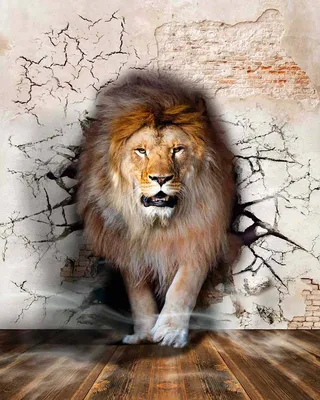 Лев - царь зверей или вожак прайда | Nashi: энциклопедия животных | Дзен