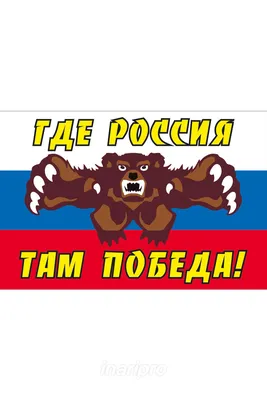 Белорусский зубр | Пикабу