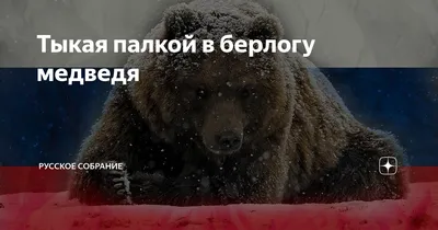 Патриотизм напоказ - новости Владимирской области