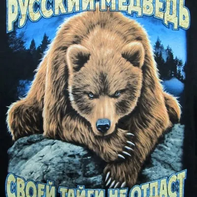 Картинки с надписью я русский с медведем (46 фото) » Юмор, позитив и много  смешных картинок