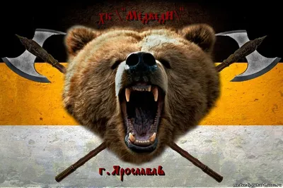 Купить нашивку русский медведь в шапке ушанке со звездой