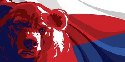 Обои медведь на телефон - 64 фото