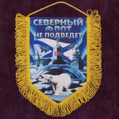 Крутой медведь - 76 фото