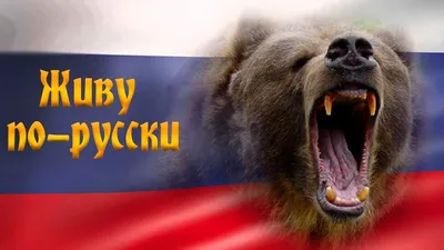 https://dzen.ru/a/W8rNY_T5wQCrn5Hq
