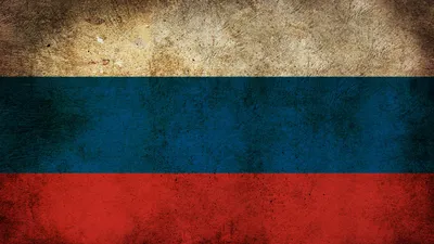 Самый злой медведь в мире - 58 фото