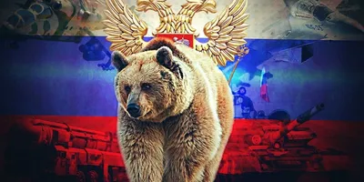 Медведь на фоне флага - фото и картинки abrakadabra.fun
