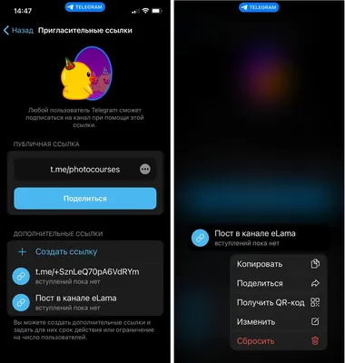 Ссылка на телеграм-канал: где ее искать, как поменять, скопировать и как  создать пригласительную ссылку
